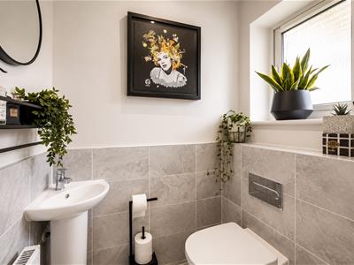 Picture 20